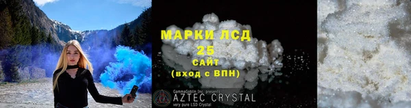 стаф Алзамай