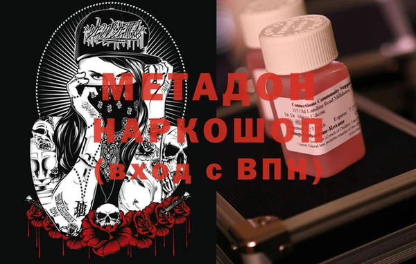 стаф Алзамай