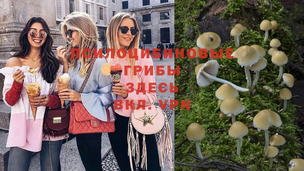 твердый Алексеевка
