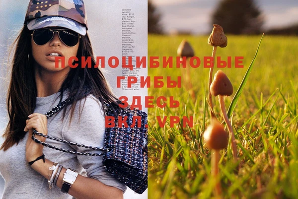 твердый Алексеевка