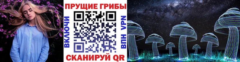 Псилоцибиновые грибы мухоморы  Углич 