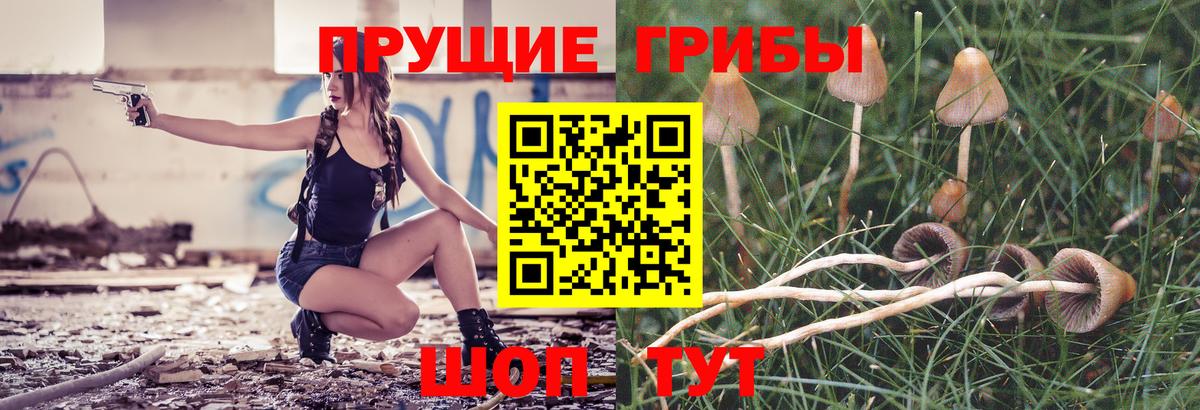 Псилоцибиновые грибы Magic Shrooms Углич