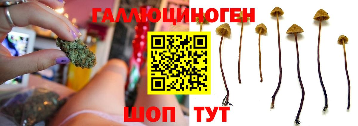 Углич  даркнет сайт  Вход с VPN  Псилоцибиновые грибы Psilocybine cubensis  Псилоцибиновые грибы ЛСД 